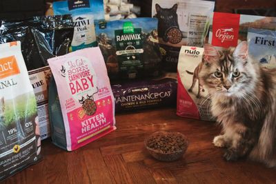 Cat Food