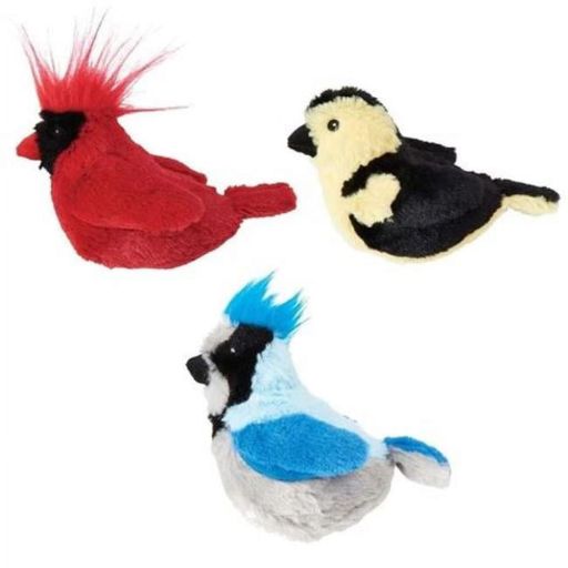Spot Songbird with Catnip