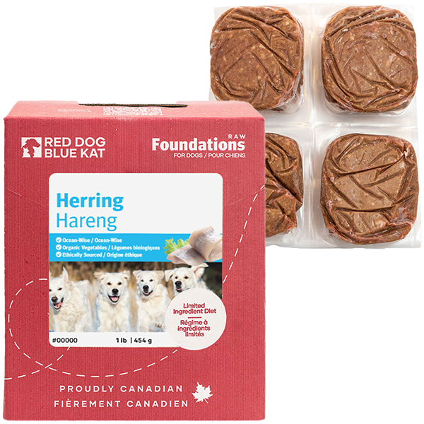RED DOG BLUE KAT Foundations Raw Herring Recipe Frozen Dog Food 1 x 4 x 0.25 lb