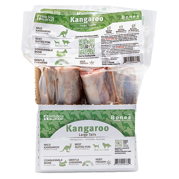 RED DOG BLUE KAT Kangaroo Tail Medium Frozen Bones (1 Pack x 8)