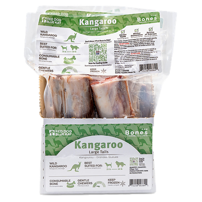 RED DOG BLUE KAT Kangaroo Tail Medium Frozen Bones (1 Pack x 8)
