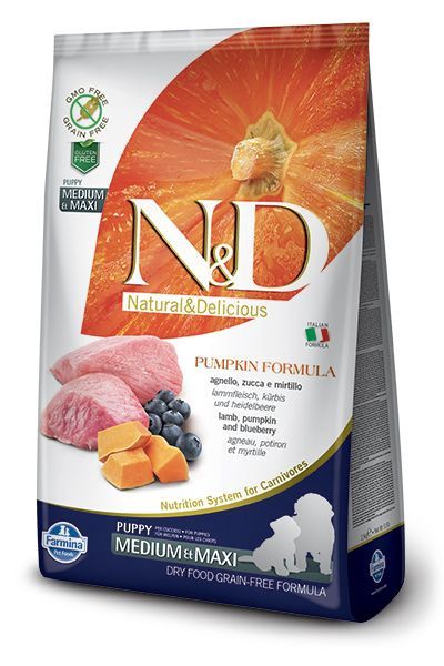 N&amp;D Puppy lamb &amp; pumpkin med/maxi 12Kg