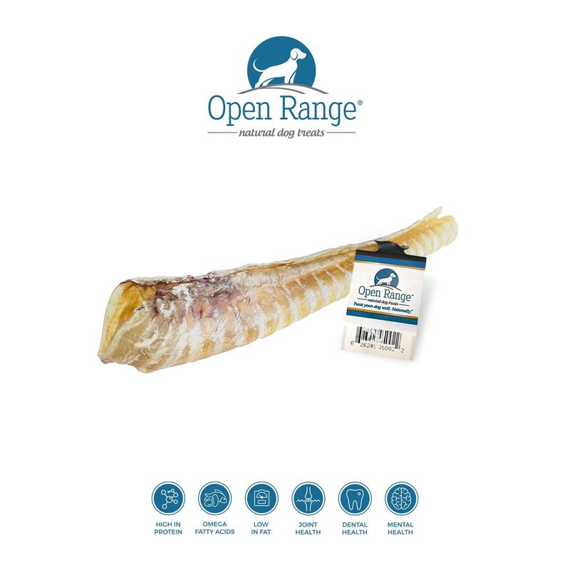 Open Range® Beef Trachea 12&quot; (1 ct) Dog Treat