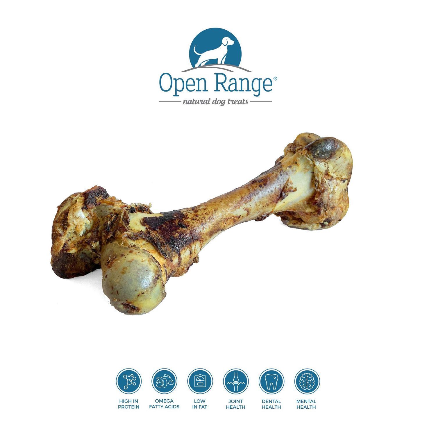 Open Range® Cured Beef Dino Bone (1 ct) Dog Treat