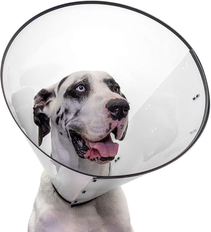 Acorn Pet Products Calm Paws Behavior Support™ BASICS E-Collar Extra Extra Large