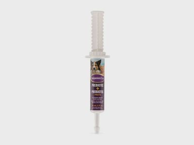 companion choice probiotic paste
