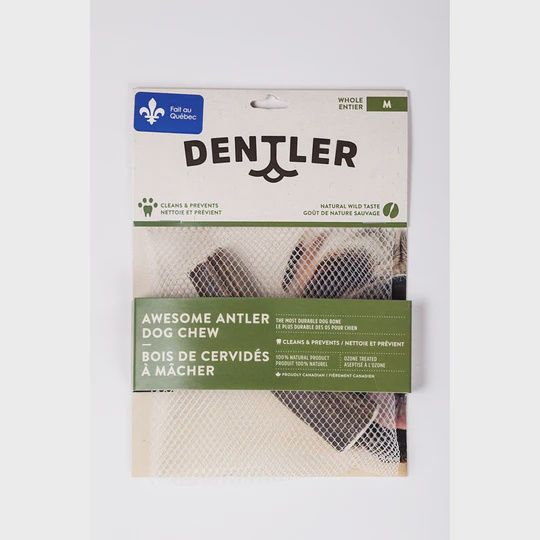 Dentler Antler Dog Chews Whole Natural Medium Dog 1pc