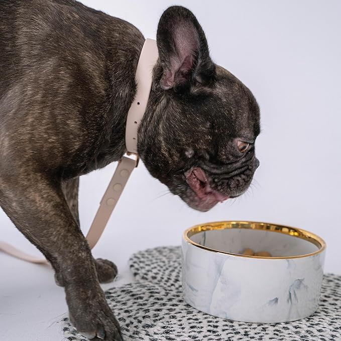 Dexypaws Ceramic Dog Bowl, Grey Marble with Gold Accent 15oz