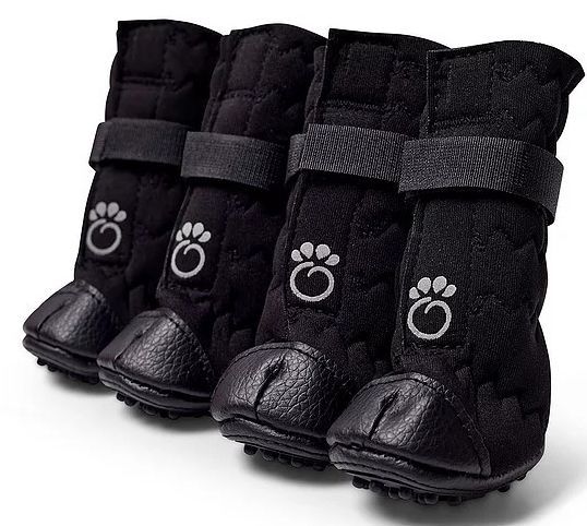 GF pet boots medium