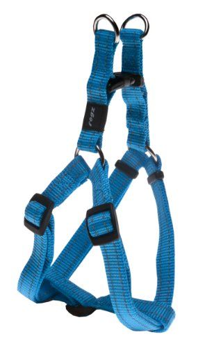 Rogz Utility Medium 5/8-Inch Reflective Snake Adjustable Dog Step-in-Harness, Turquoise