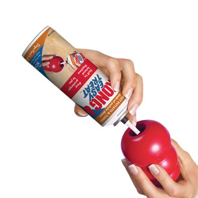 Kong® HOLIDAY Easy Treat™ Turkey &amp; Sweet Potato Dog Treat 8oz