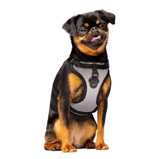 Canada Pooch Reflective Everything Dog Harness, Large, Silver