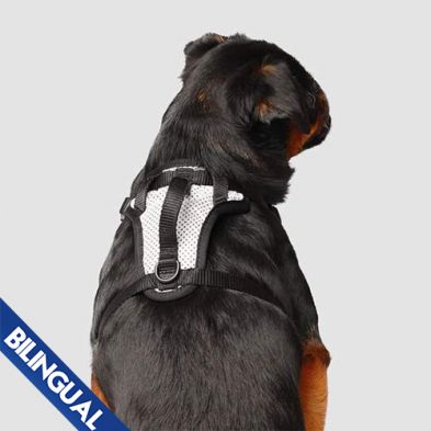 Canada Pooch Reflective Everything Dog Harness, X-Large, Silver