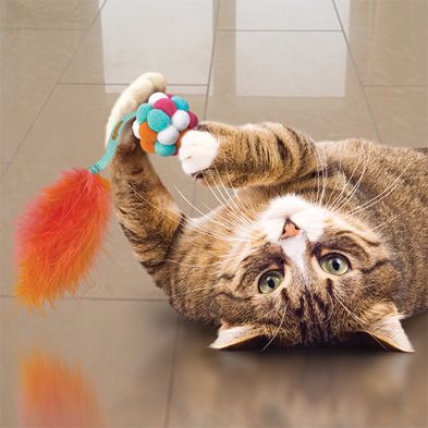 035585524047 Cat Active Bubble Ball Assorted Cat Toy - One Size