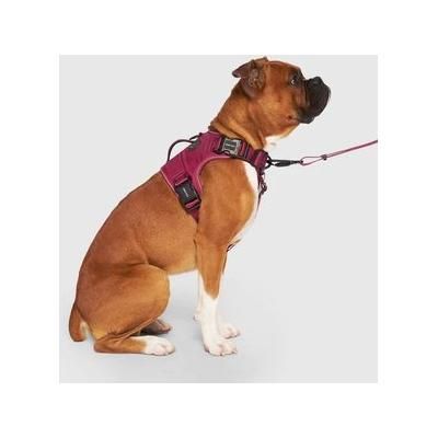 Canada Pooch Complete Control Dog Harness, Plum, XX-Large