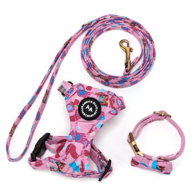 Collars, Harnesses &amp; Leashes