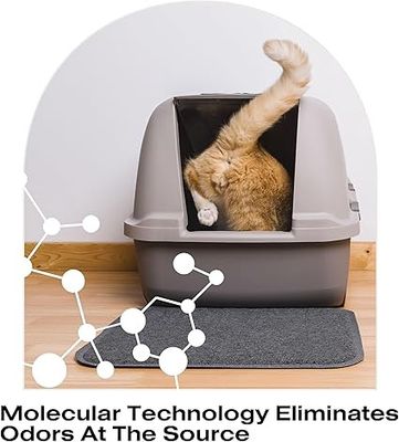 Cleaner and odor neutralizer