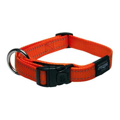 Fanbelt Classic Collar Lge Or
