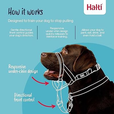 Company of Animals® Halti® Hdcollar Black 1