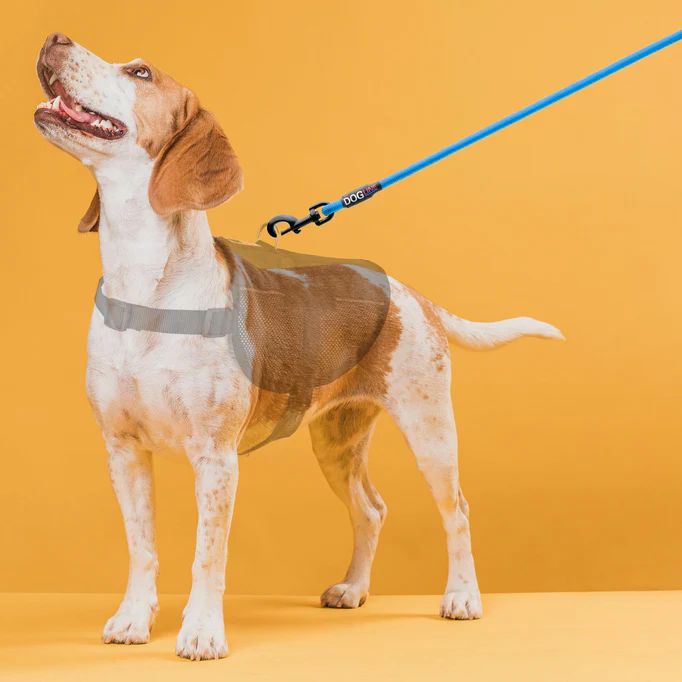 Dogline Round Nylon Leash 4ft W1/3 - Navy