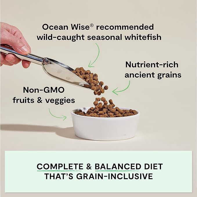 Open Farm Puppy Salmon with Grains 22LB