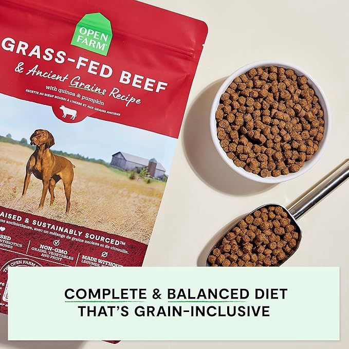 Open Farm dog-food---4lb---grass-fed-beef-grain