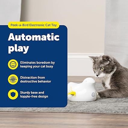 petsafe peek a bird electronic cat toy