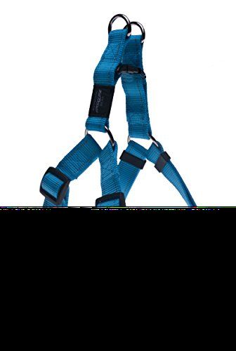 Rogz Utility Large 3/4-Inch Reflective Fanbelt Adjustable Dog Step-in-Harness, Turquoise