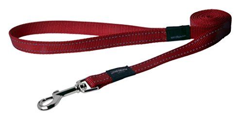 Rogz Utility Large 3/4" Fanbelt Fixed 6' Long Reflective Dog Leash, Red