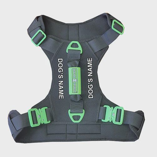 Healthy Harness