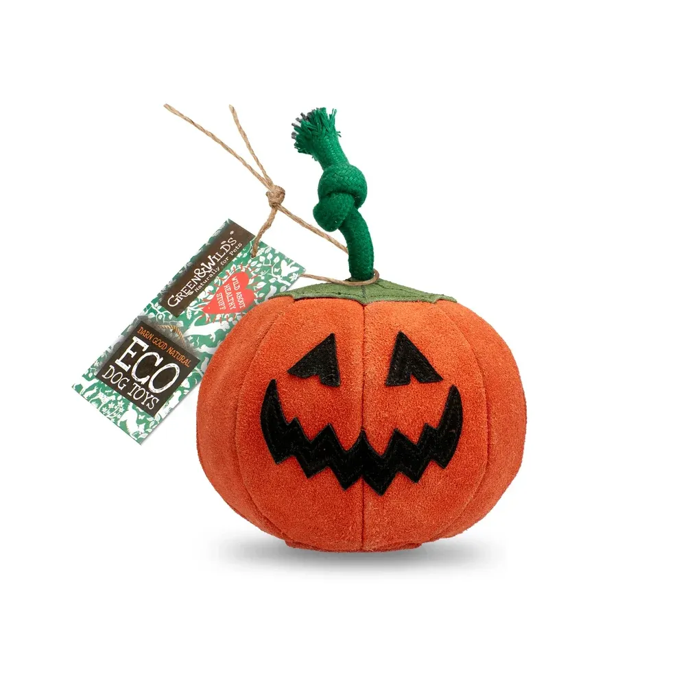 Green &amp; Wilds  Patch the Pumpkin