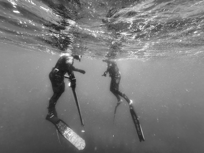 SPEARFISHING