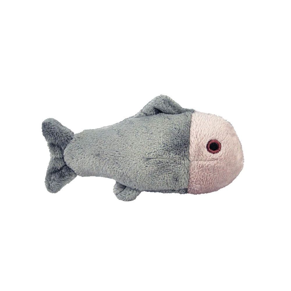 Guppy Fish