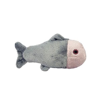 Guppy Fish