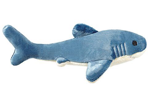 Tank the Shark