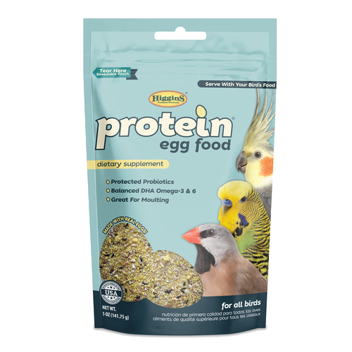 Protein Egg Food