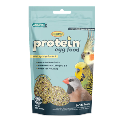 Protein Egg Food