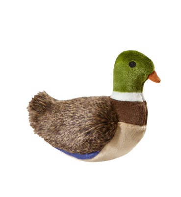 Morley Mallard