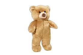 Mr. Honey Bear