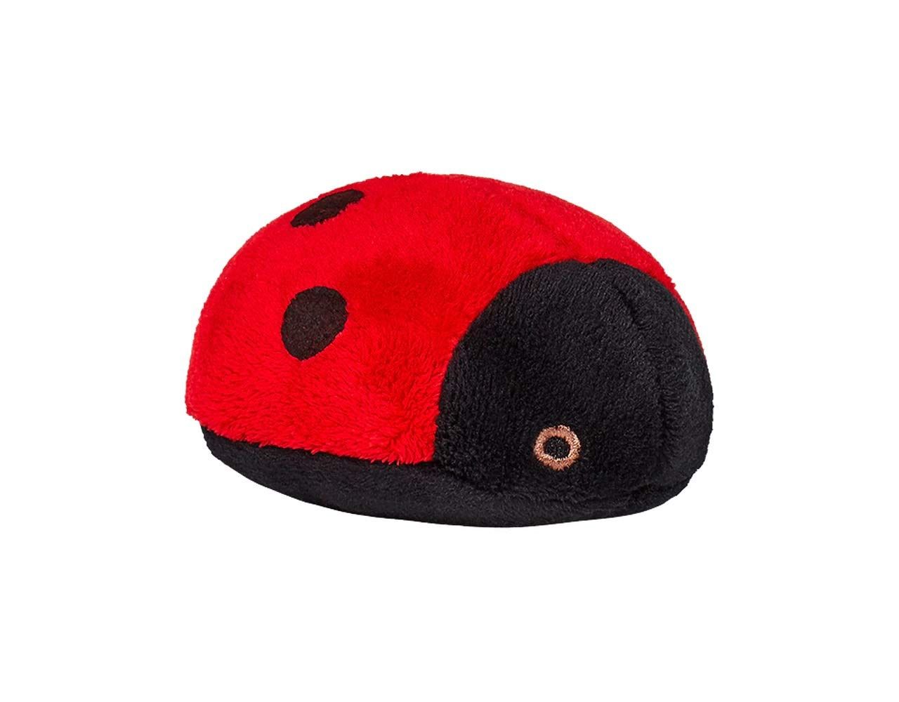 Lady Bug