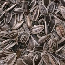 Bulk Sunflower Seeds FS-2 lbs