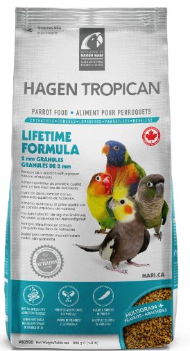Lifetime Formula Cockatiel &amp; Conures-4 lbs