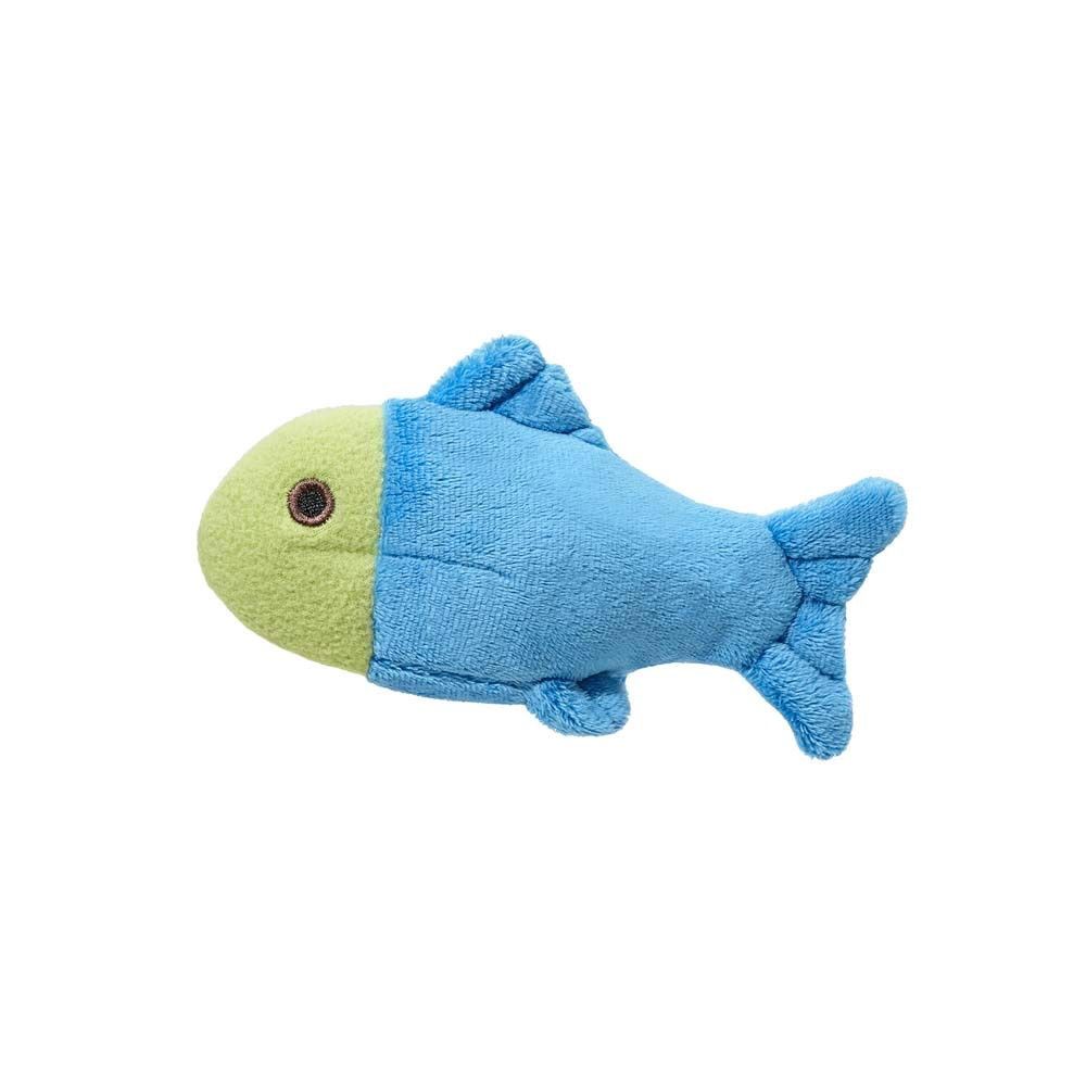 Molly Fish