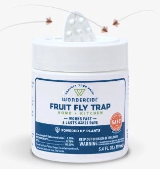 H &amp; K Fruit Fly Trap-5.4 oz