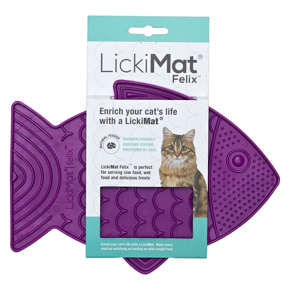 Cat Likimat Felix Purple