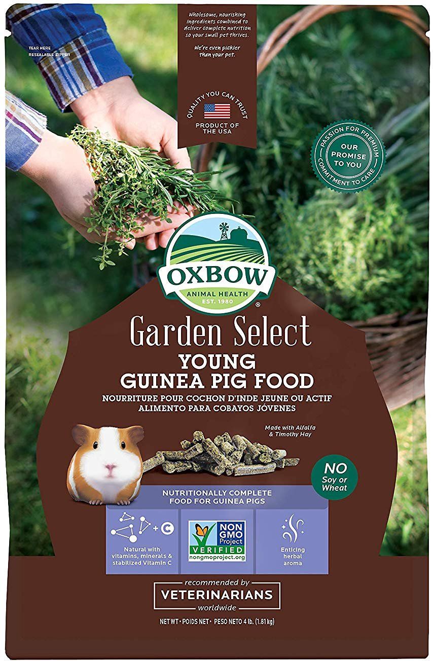 Garden Select Young Guinea Pig Food-4 lbs