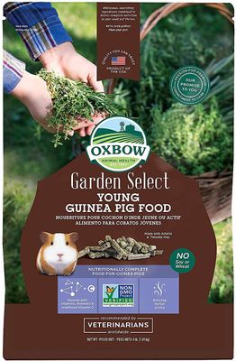 Garden Select Young Guinea Pig Food-4 lbs