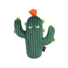 Prickly Pup Cactus