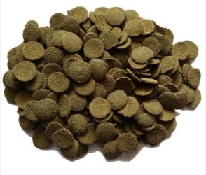 Tropical Algae Wafers Cups-8.8 oz