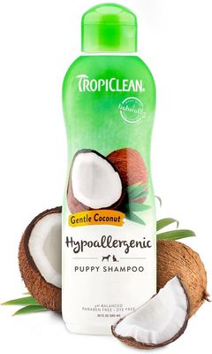 Gentle Coconut Hypoallergenic Shampoo-20 oz